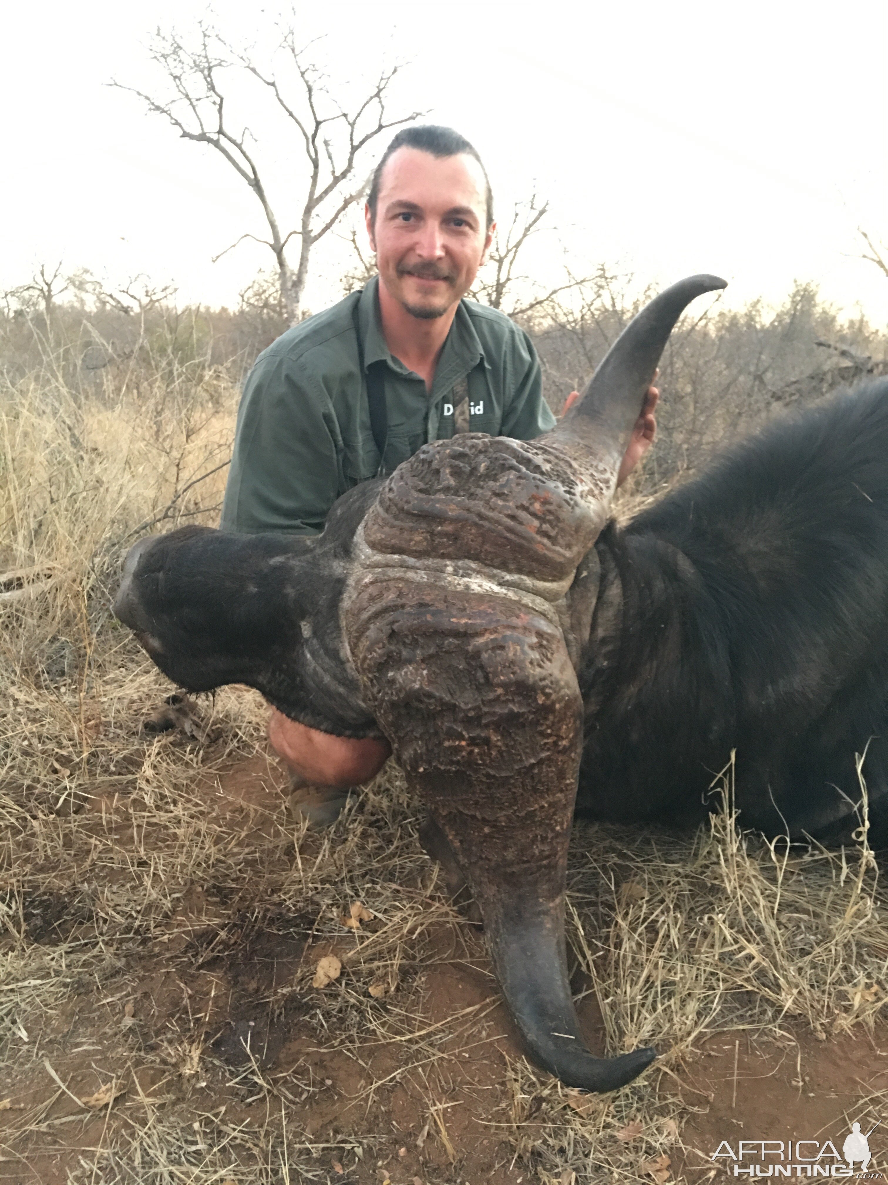 Buffalo Hunting South Africa