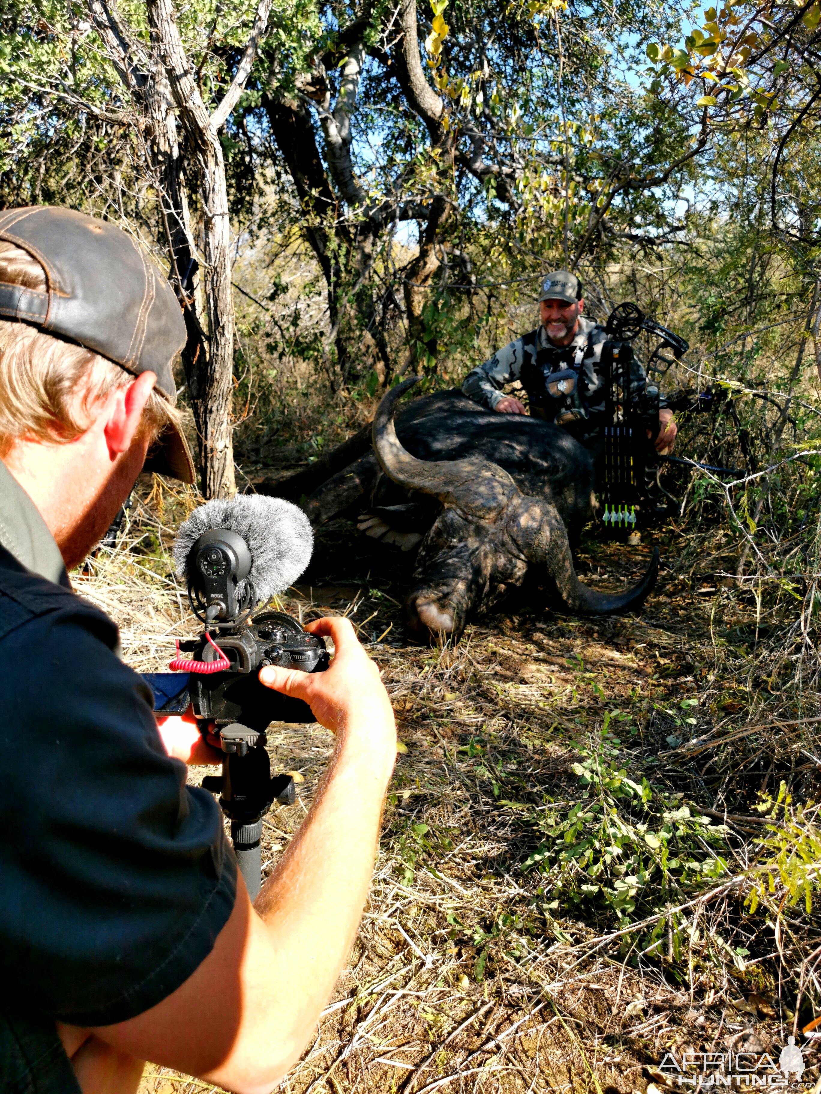 Buffalo Hunting South Africa