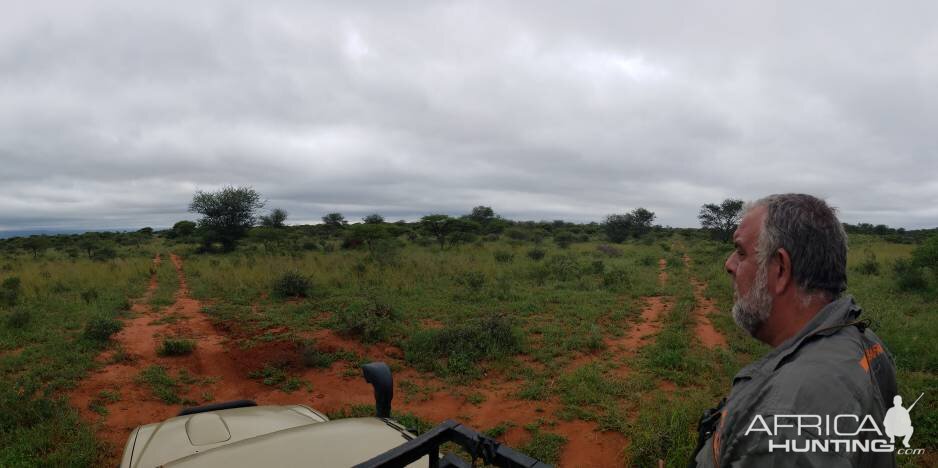 Buffalo Hunting South Africa