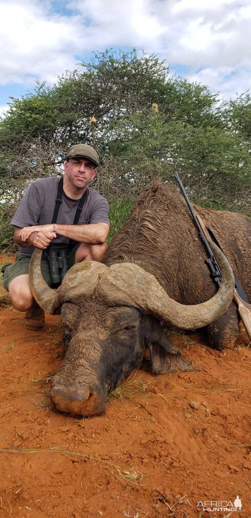 Buffalo Hunting South Africa