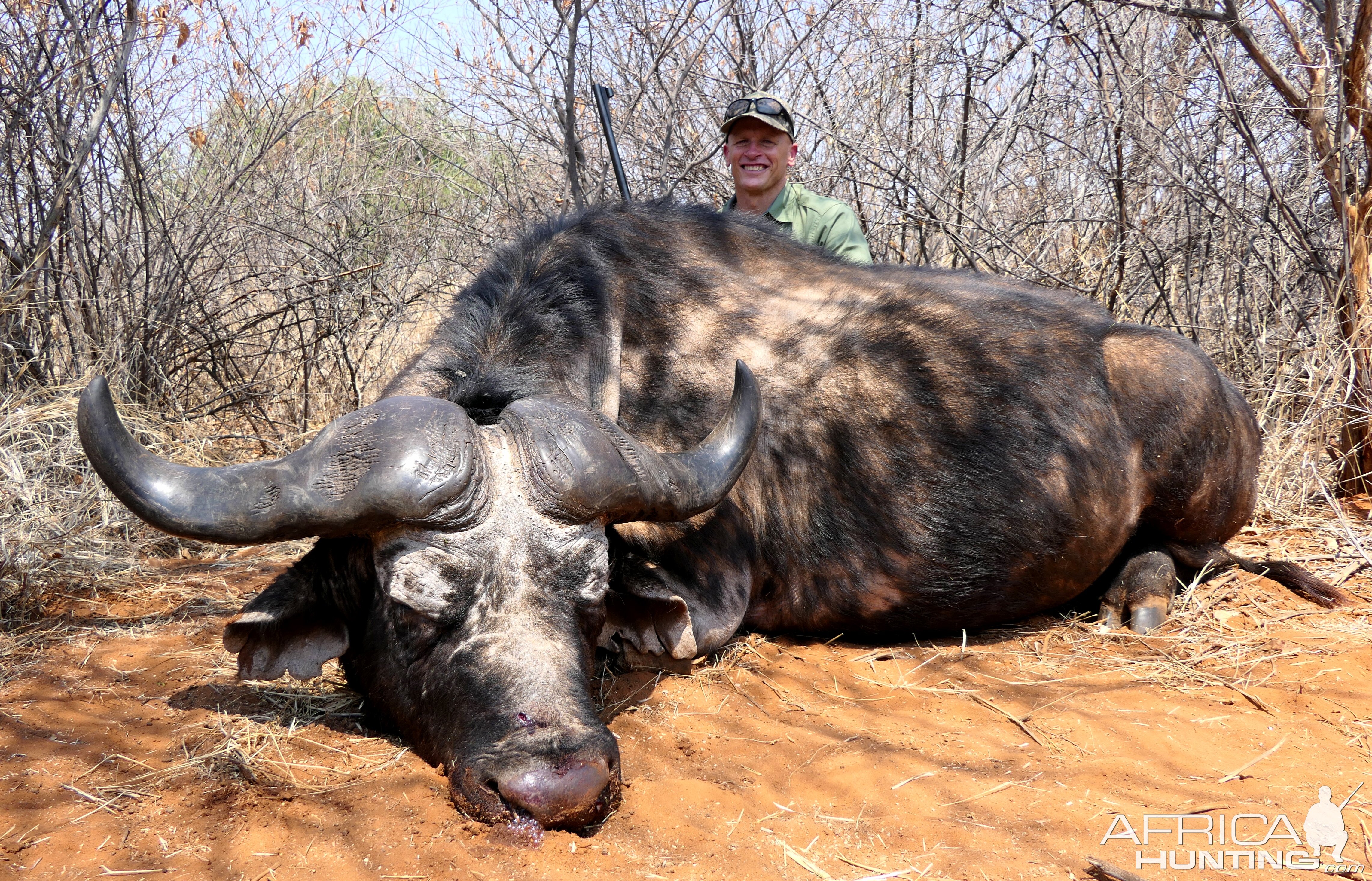 Buffalo Hunting South Africa