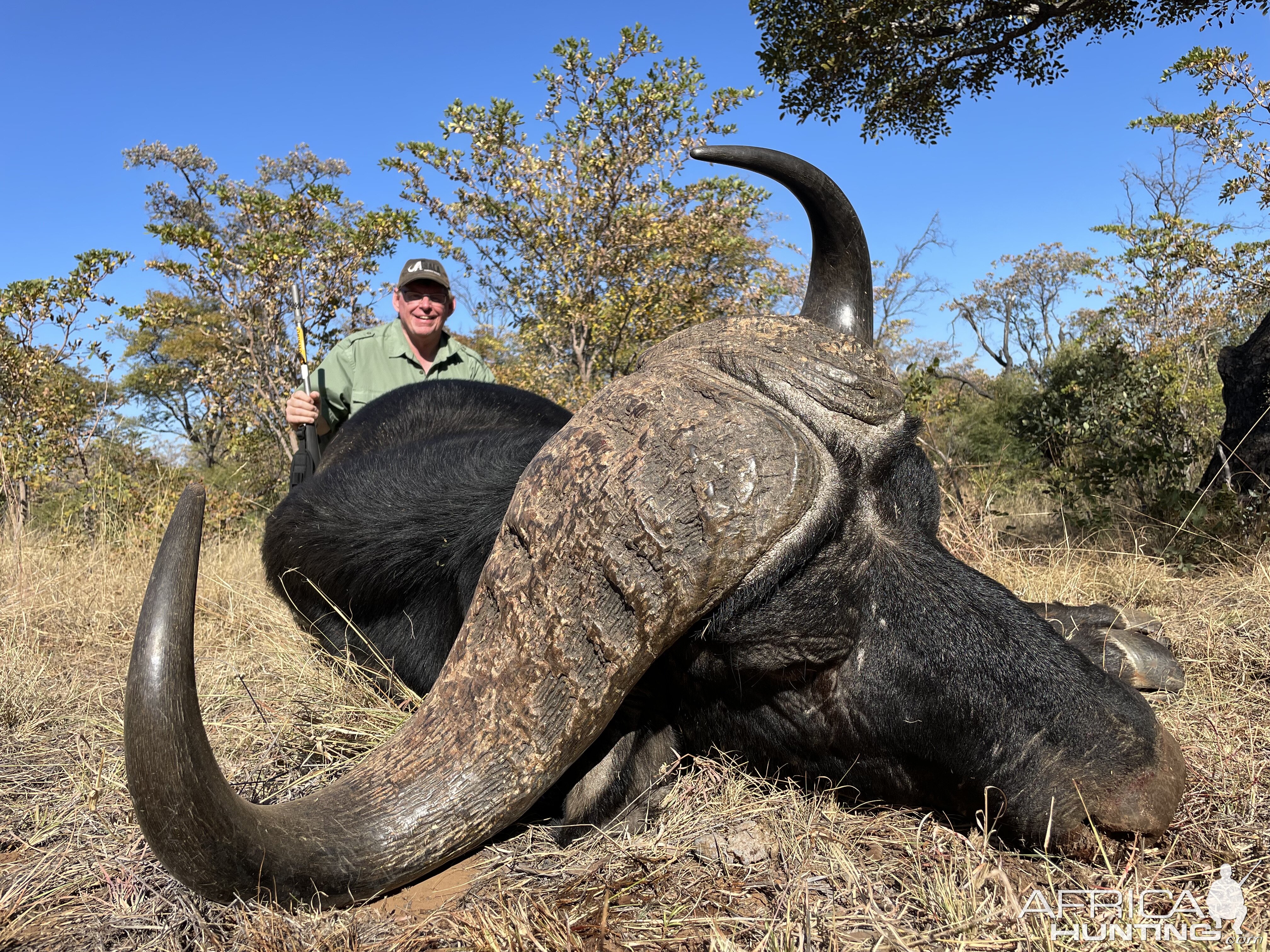 Buffalo Hunting South Africa