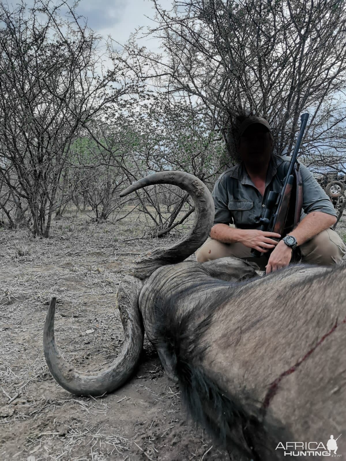 Buffalo Hunting South Africa