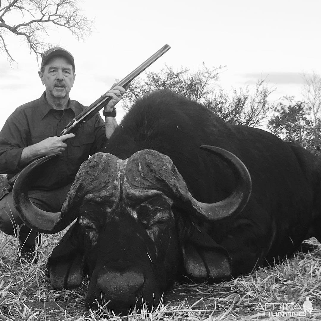 Buffalo Hunting South Africa