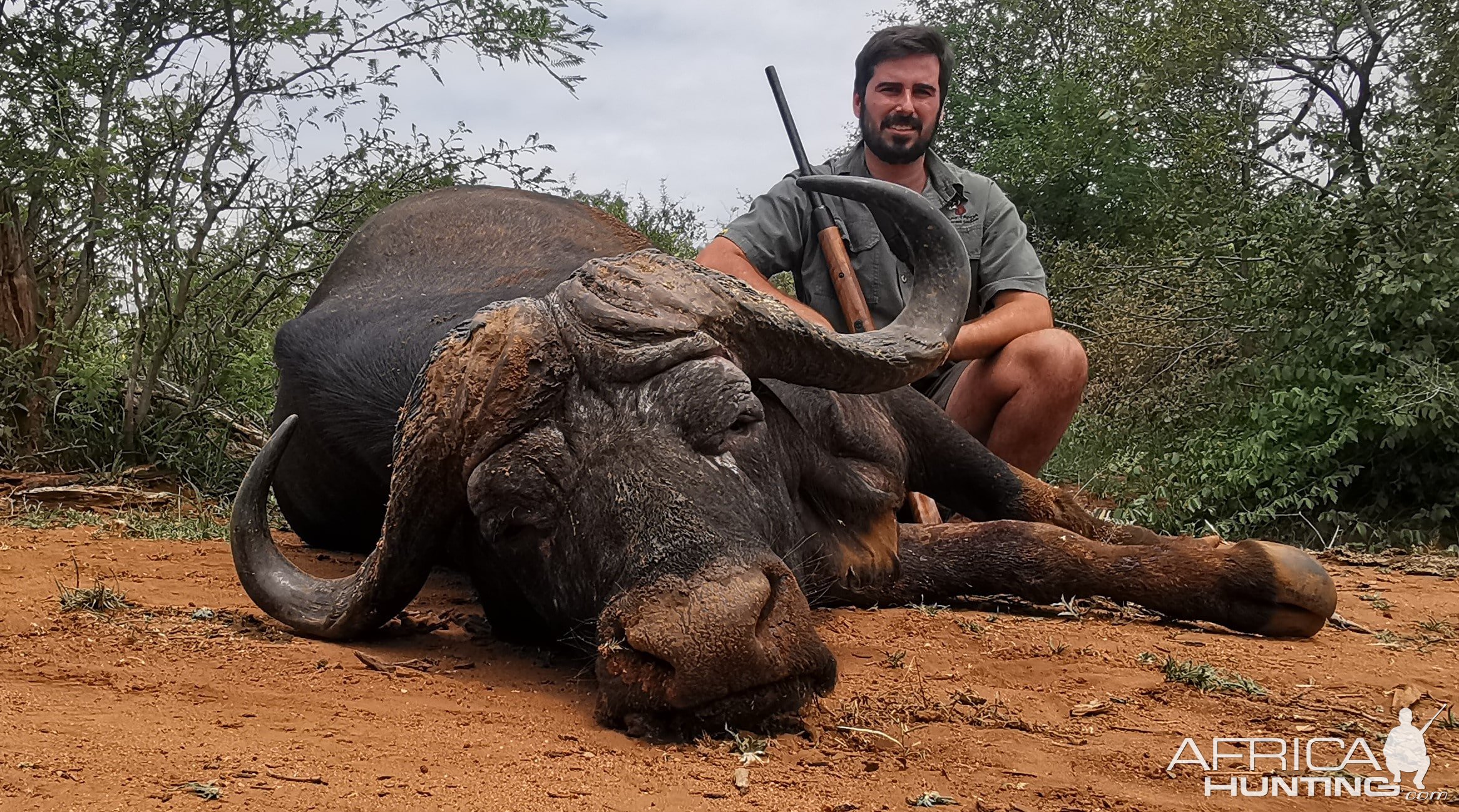 Buffalo Hunting South Africa