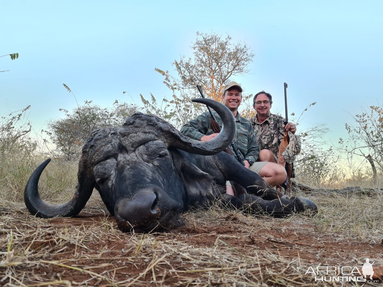 Buffalo Hunting South Africa