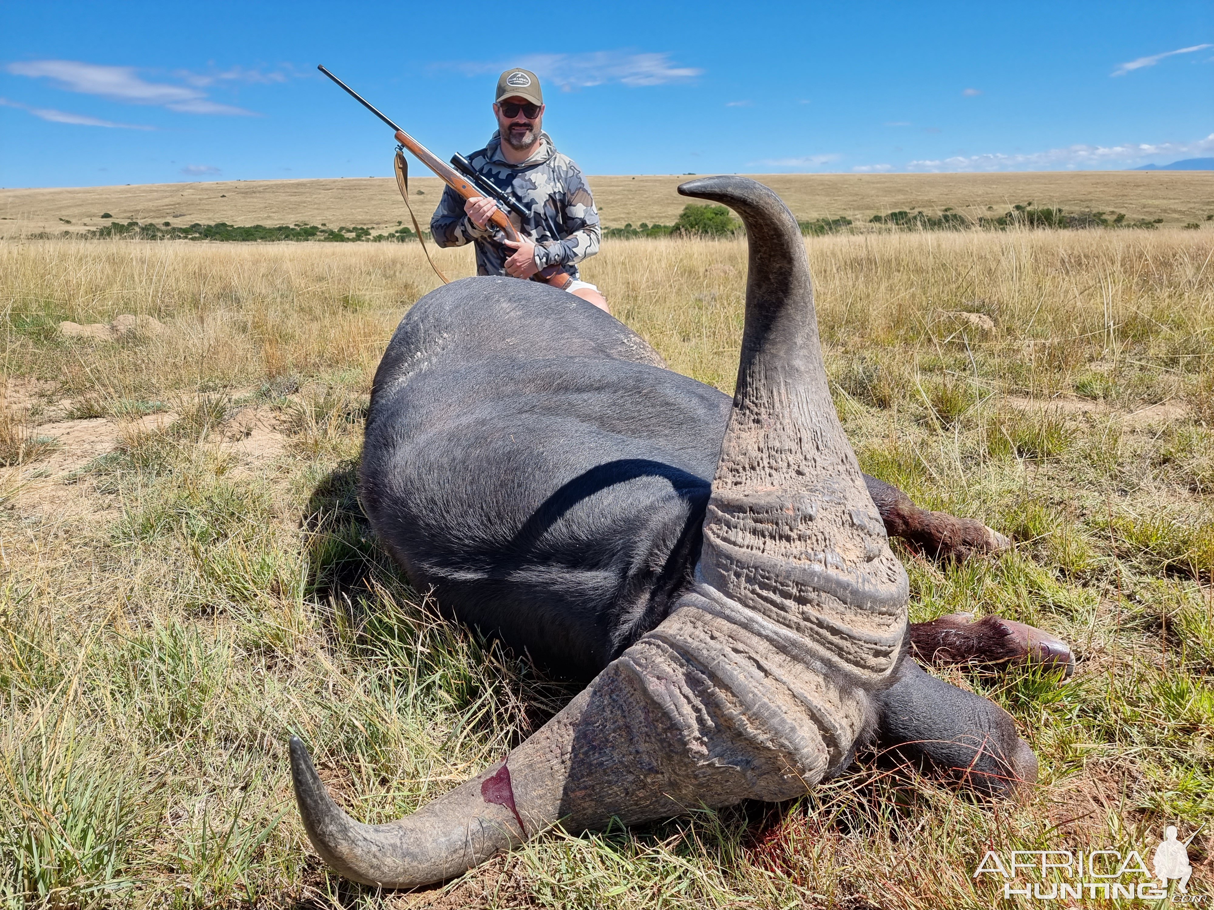 Buffalo Hunting South Africa