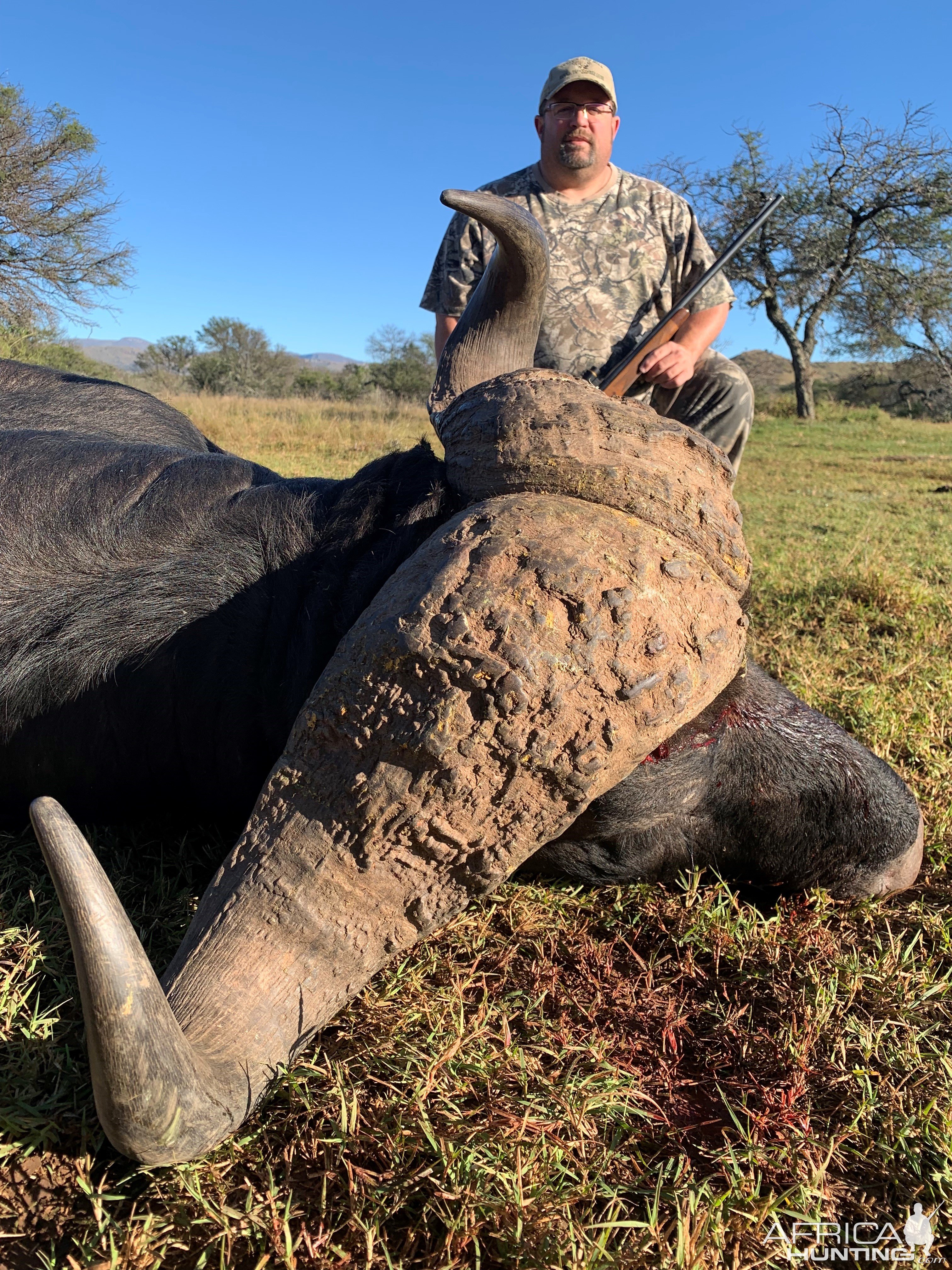 Buffalo Hunting South Africa