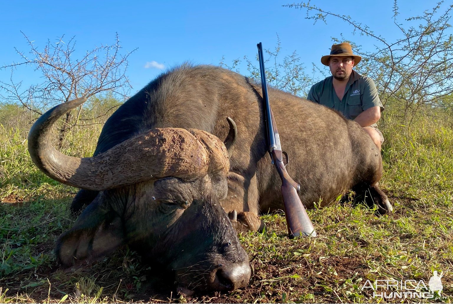 Buffalo Hunting South Africa