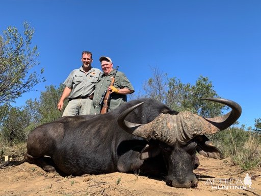 Buffalo Hunting South Africa