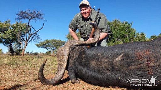 Buffalo Hunting South Africa