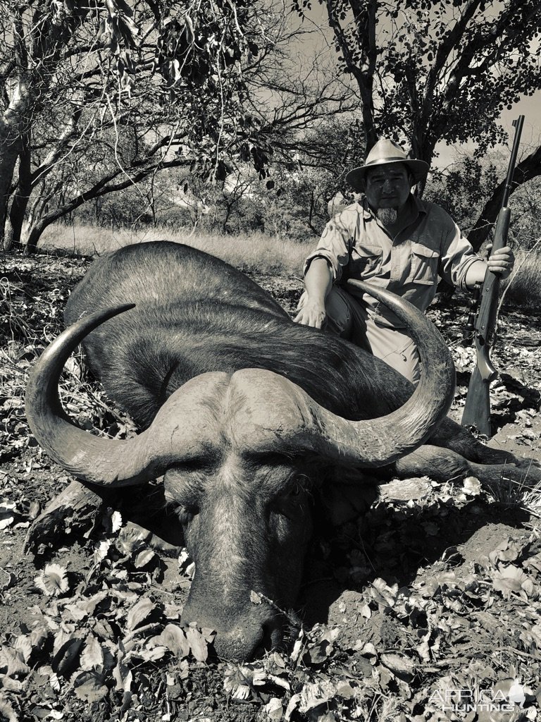 Buffalo Hunting South Africa