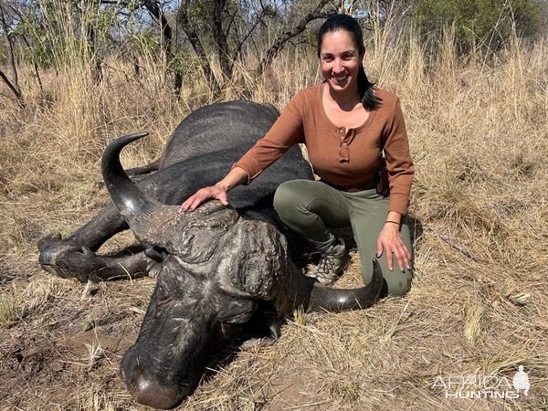 Buffalo Hunting South Africa