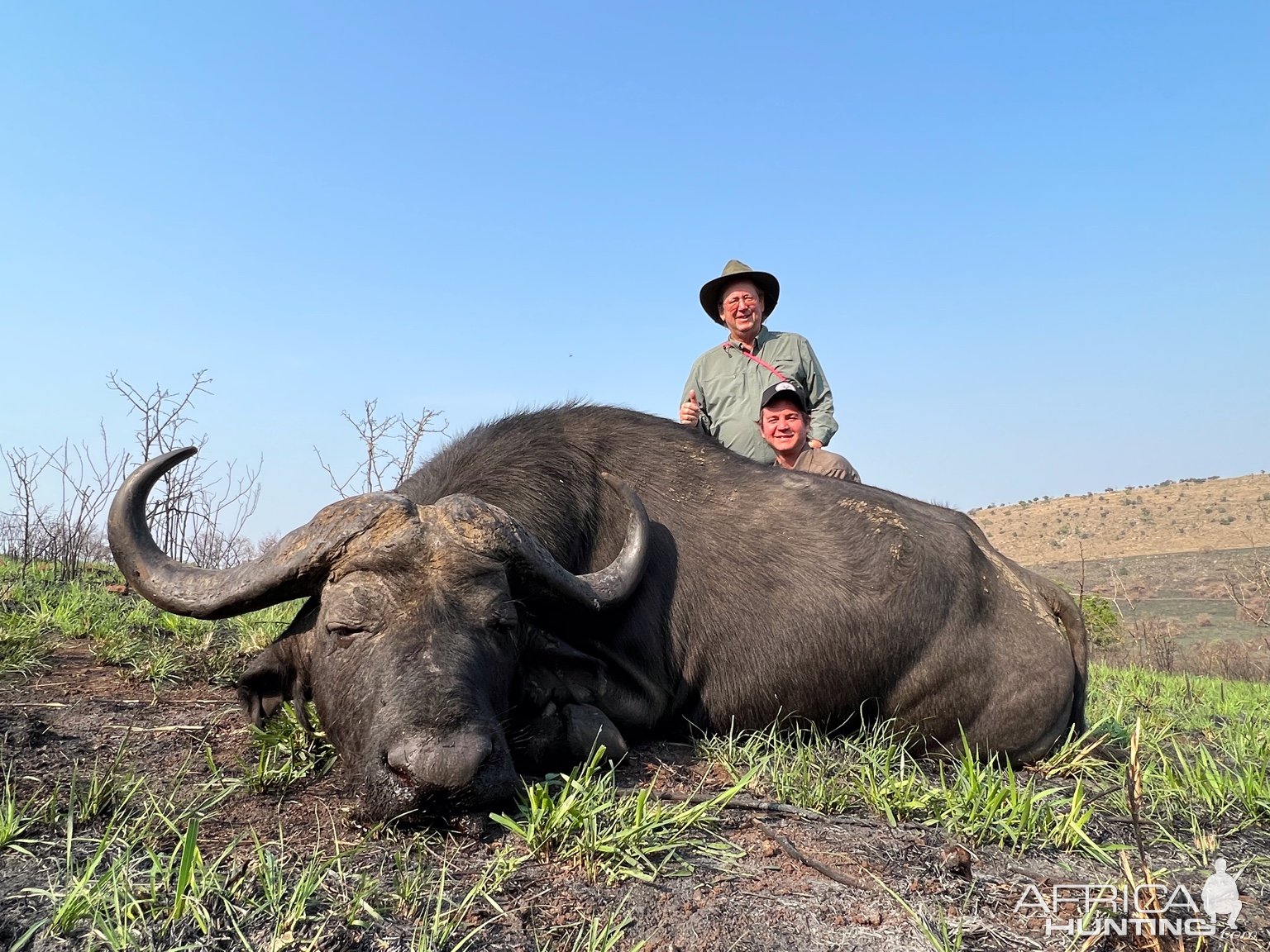 Buffalo Hunting South Africa