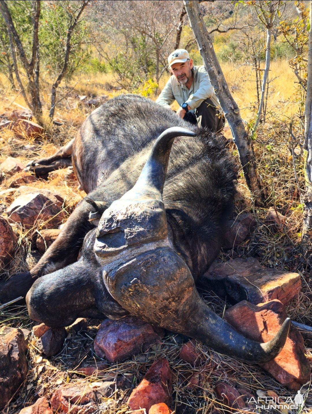 Buffalo Hunting South Africa