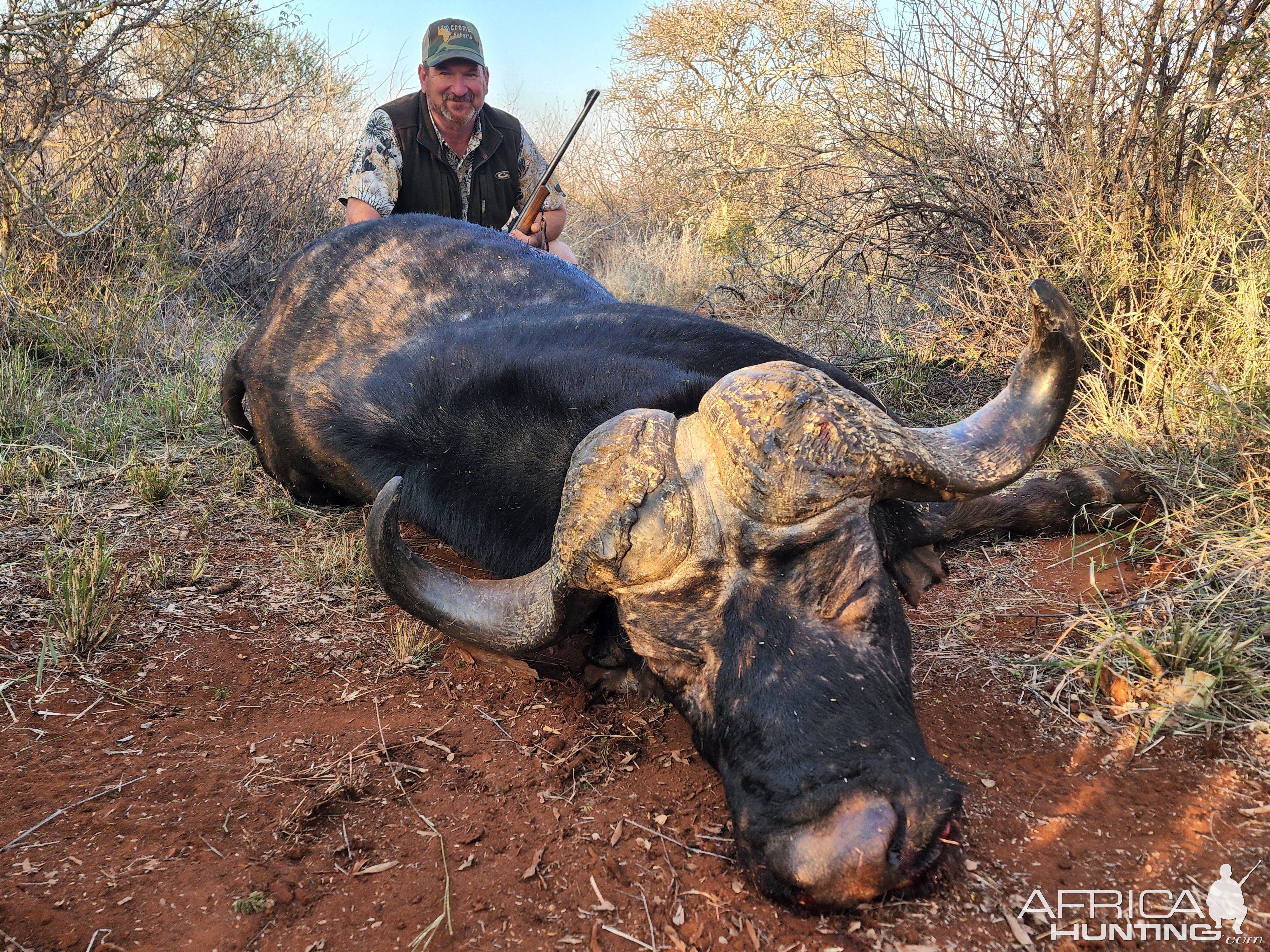 Buffalo Hunting South Africa