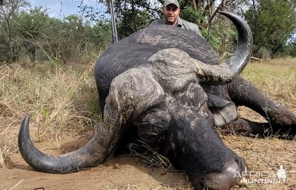 Buffalo Hunting South Africa