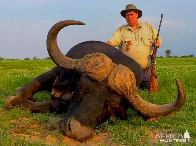 Buffalo Hunting South Africa