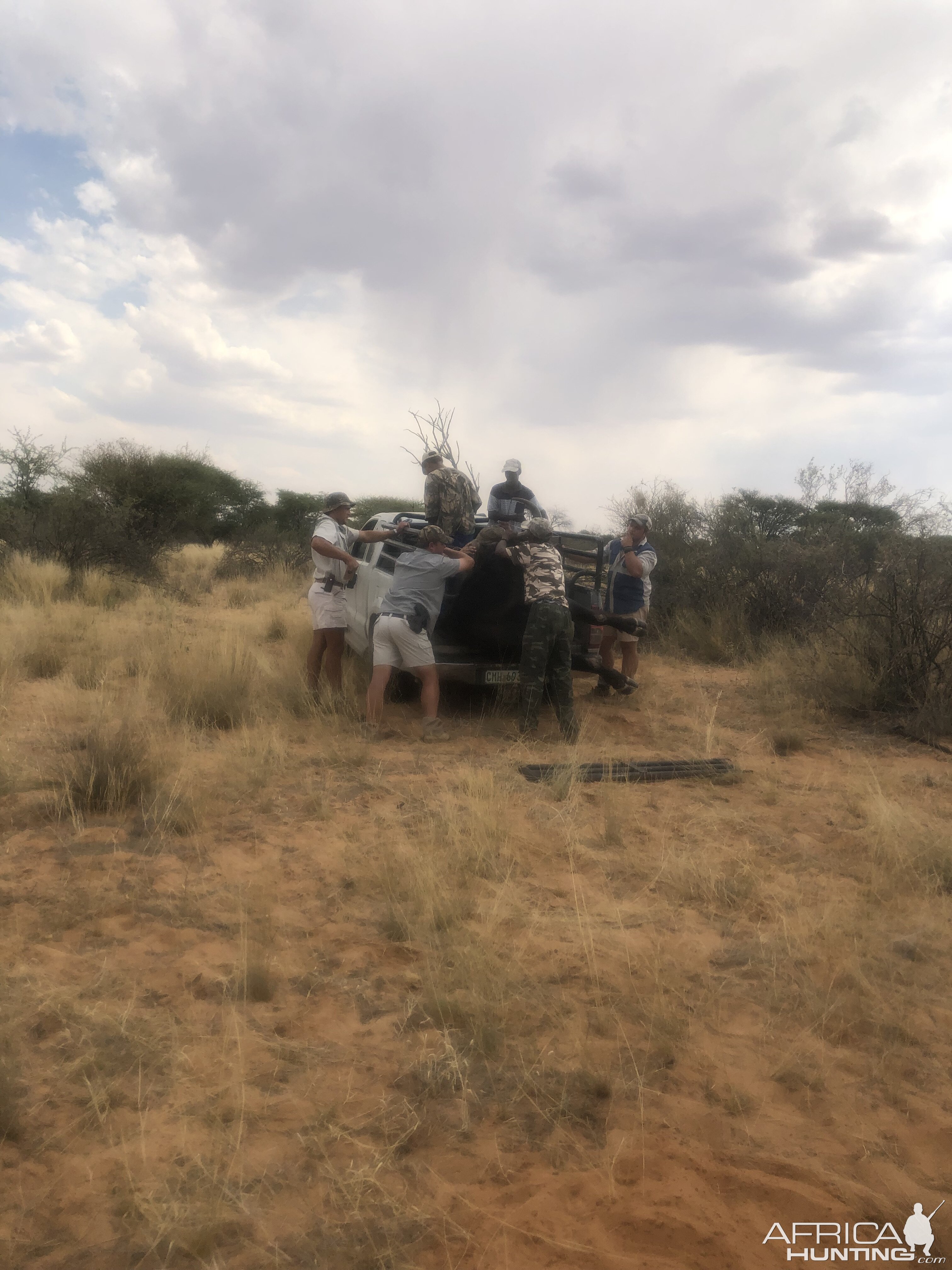 Buffalo Hunting South Africa