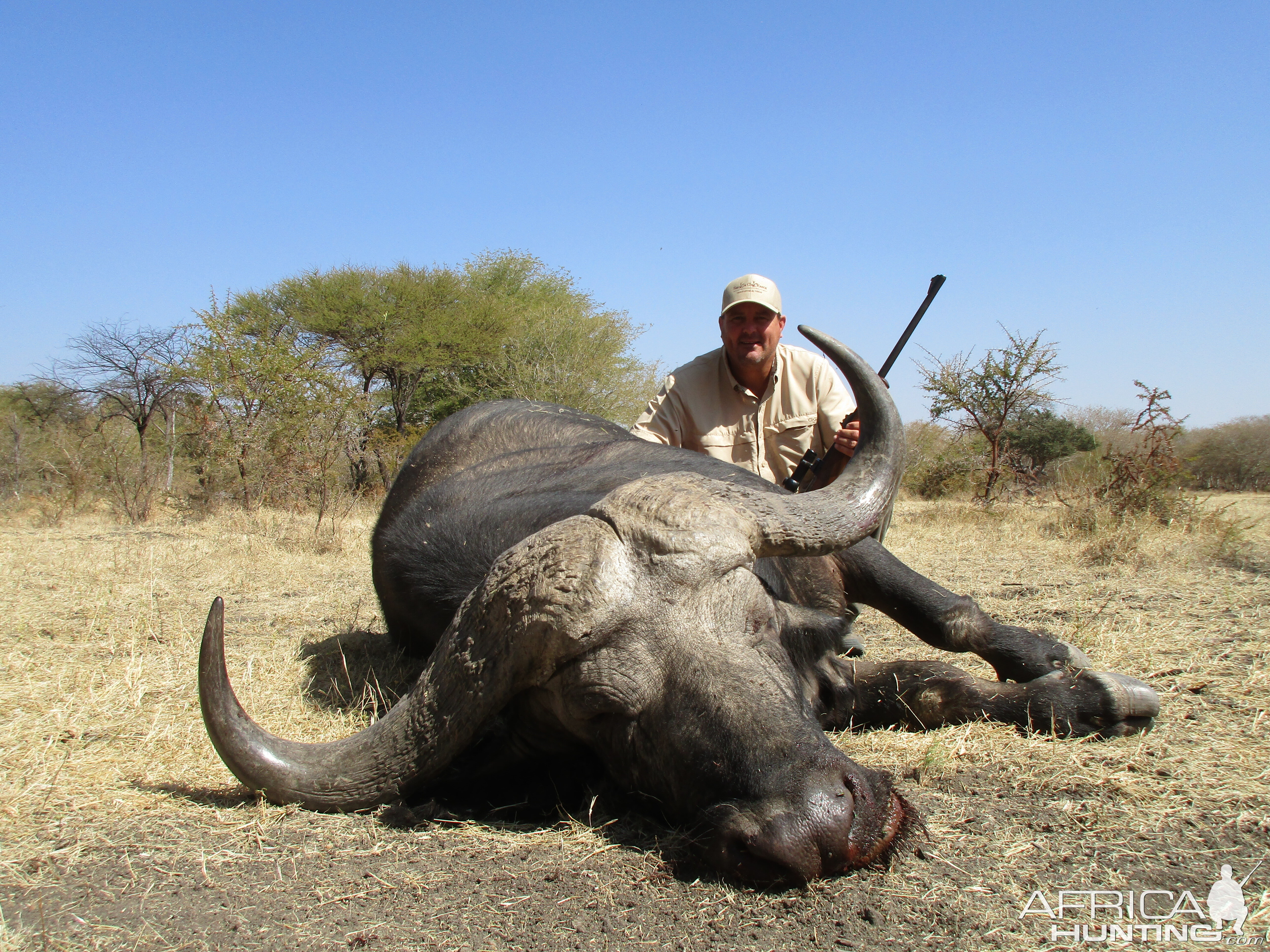 Buffalo Hunting South Africa