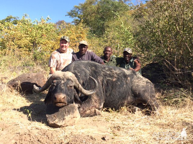 Buffalo Hunting Zimbabawe