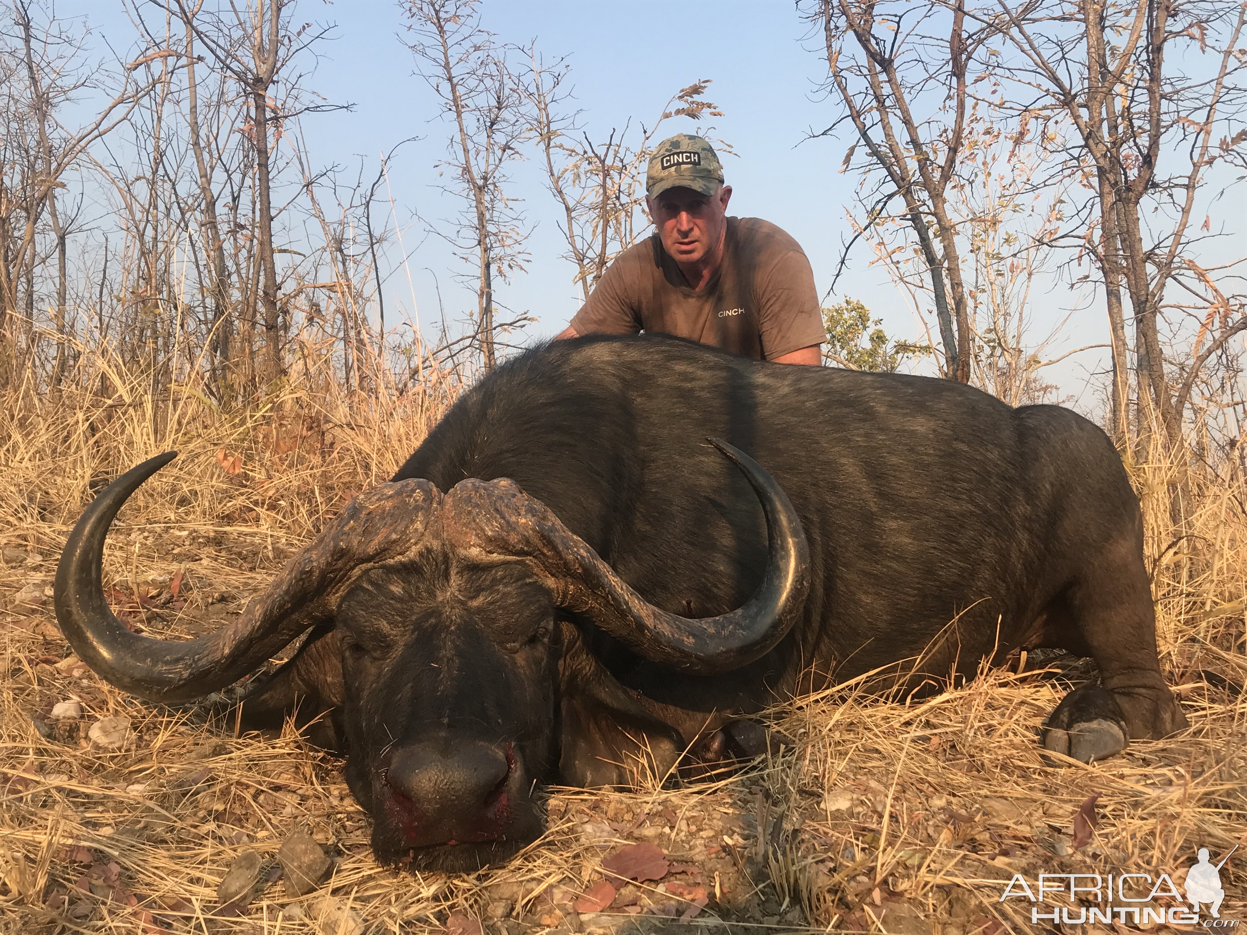 Buffalo Hunting Zimbabwe