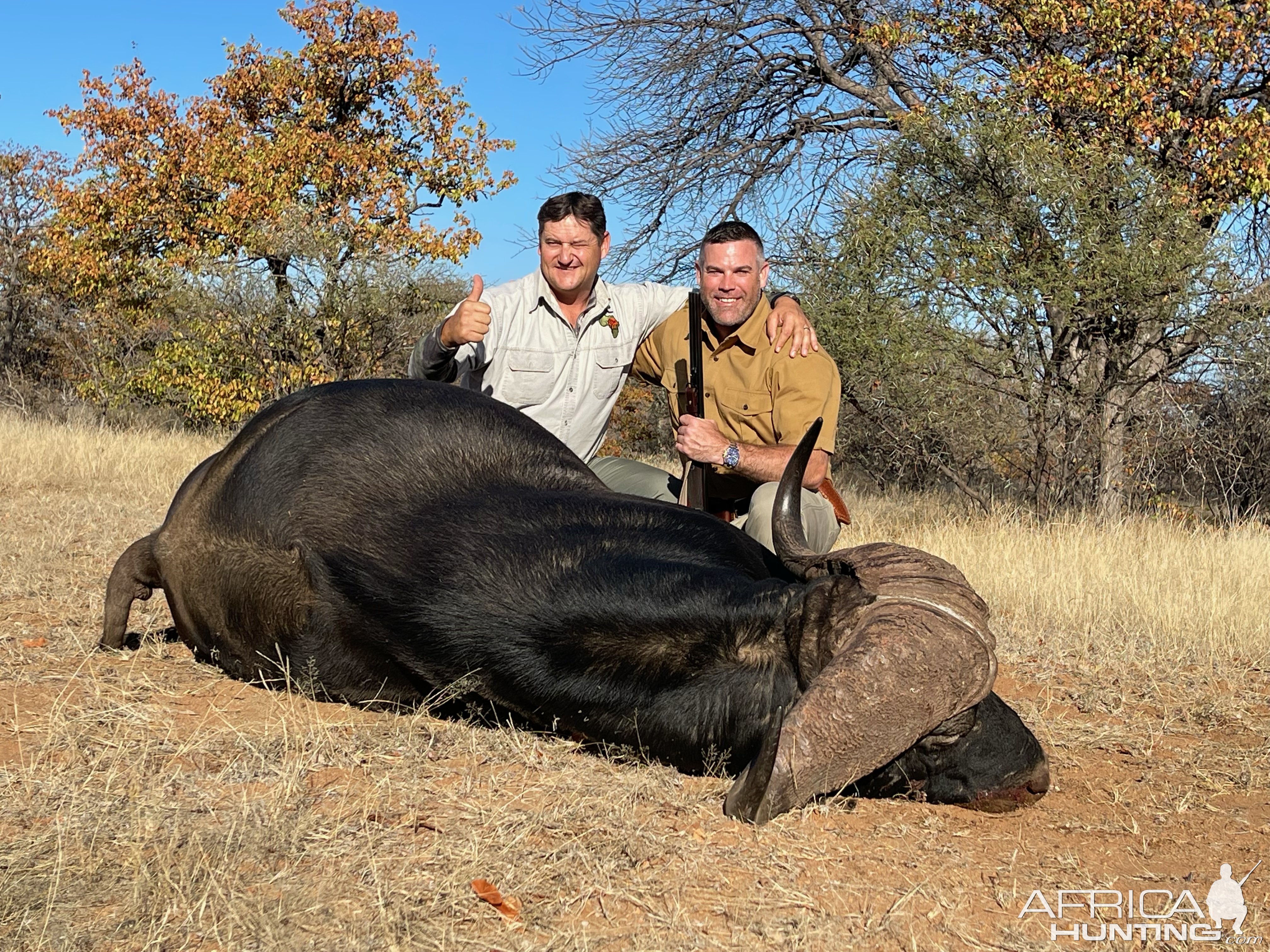 Buffalo Hunting Zimbabwe