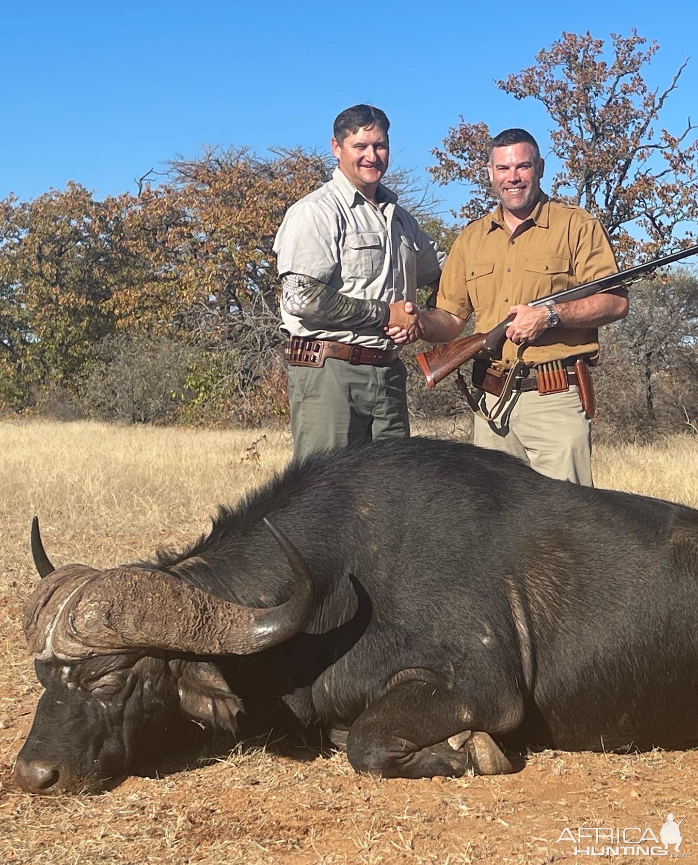 Buffalo Hunting Zimbabwe