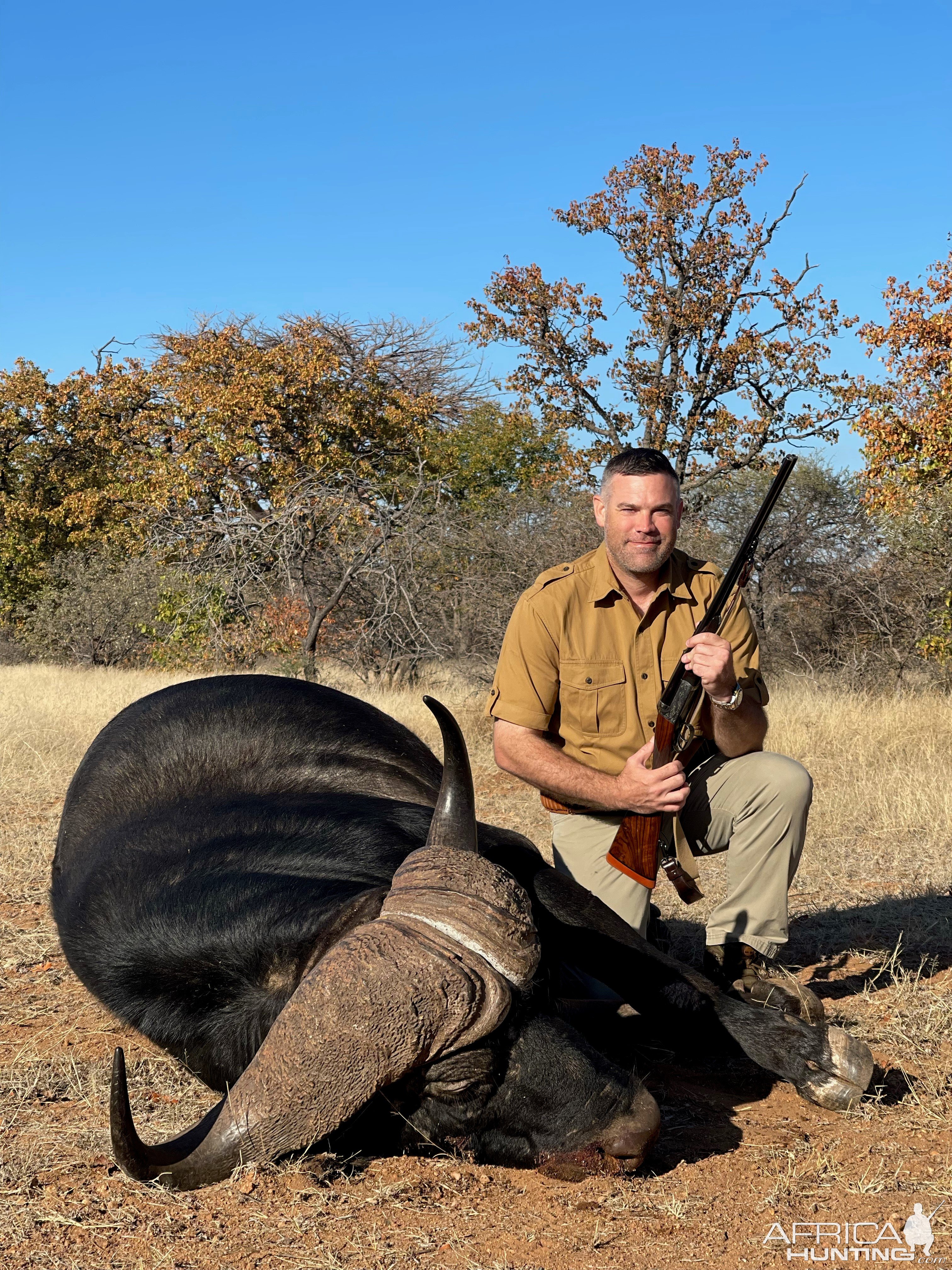 Buffalo Hunting Zimbabwe