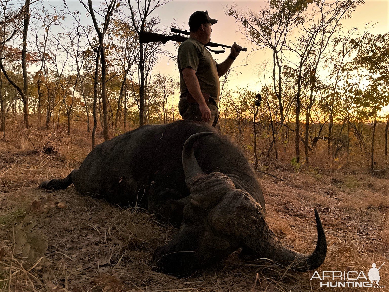 Buffalo Hunting Zimbabwe | AfricaHunting.com