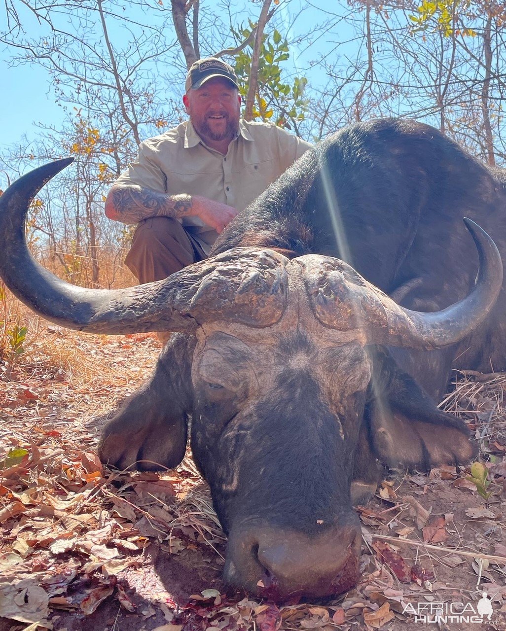 Buffalo Hunting Zimbabwe