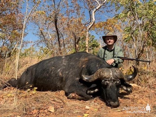 Buffalo Hunting  Zimbabwe