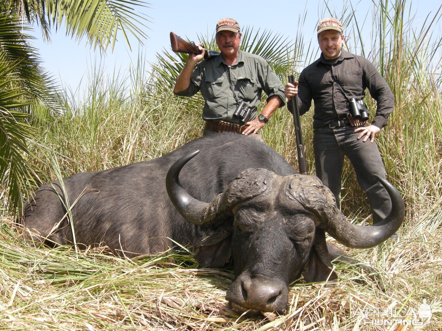 Buffalo Hunting | AfricaHunting.com