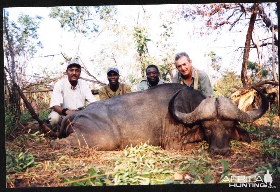 Buffalo Hunting