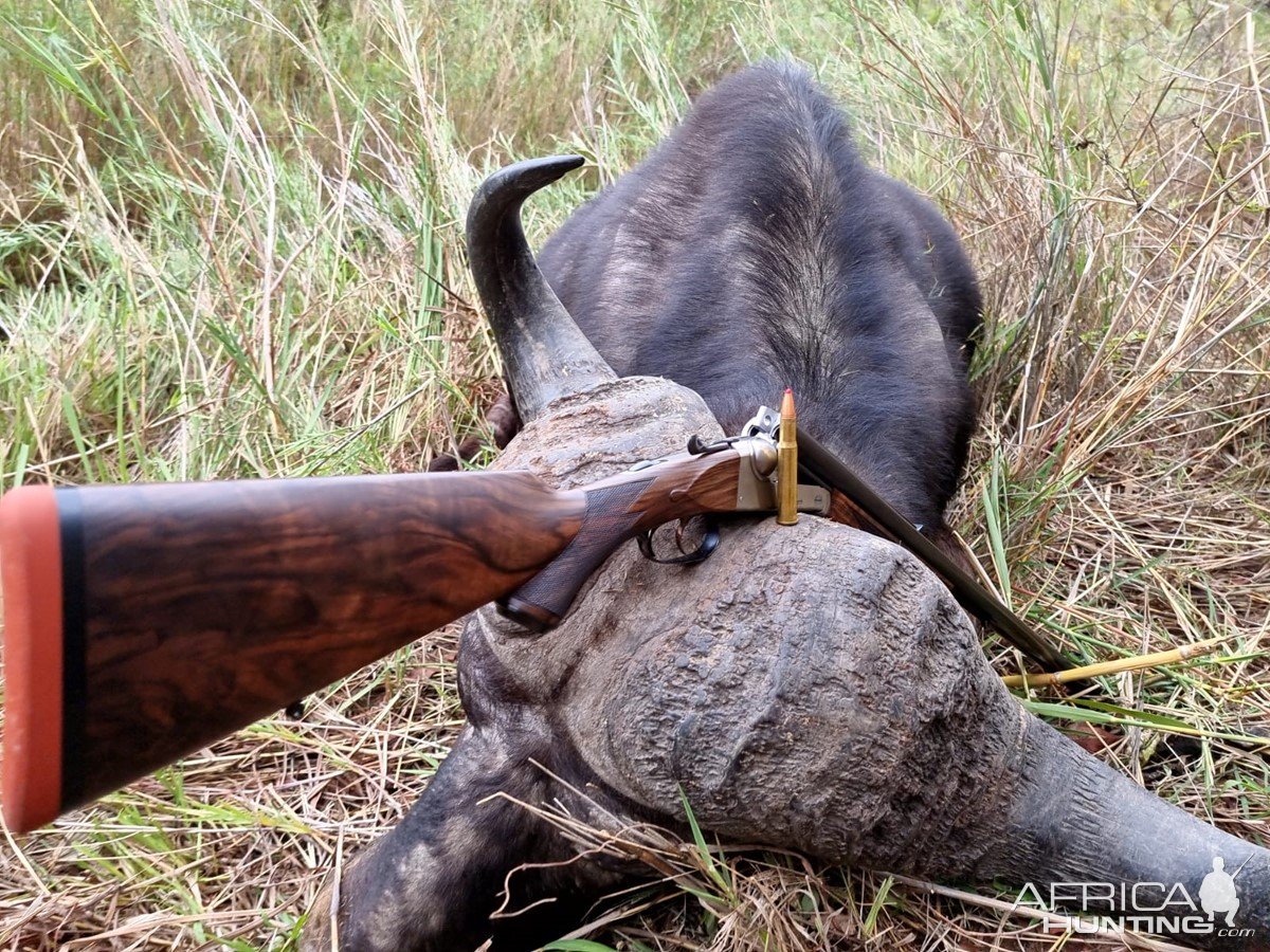 Buffalo Hunting