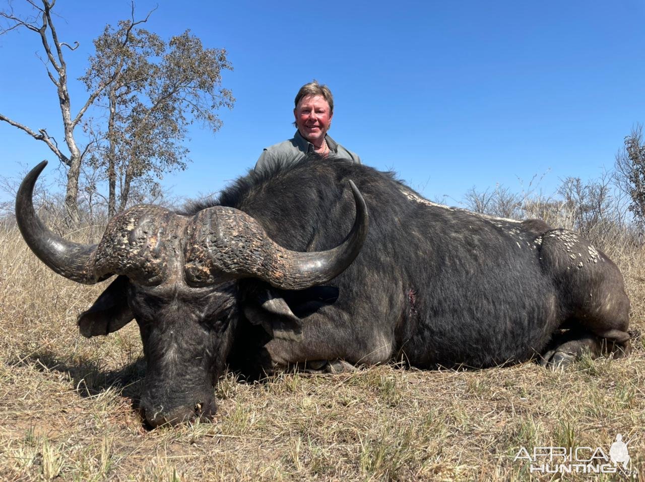 Buffalo Hunting