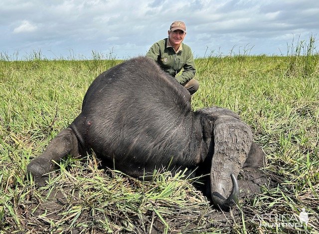 Buffalo Hunting