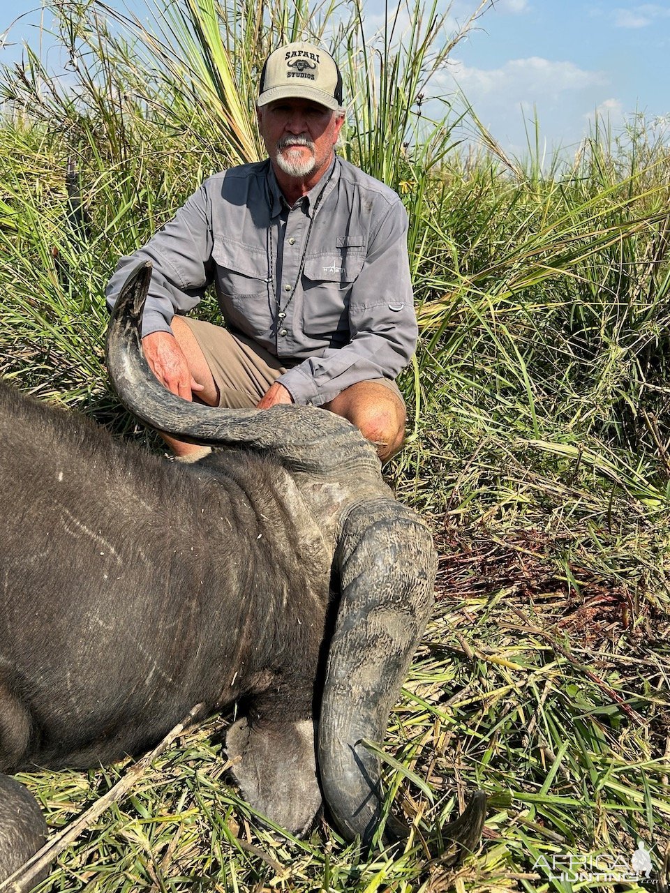 Buffalo Hunting