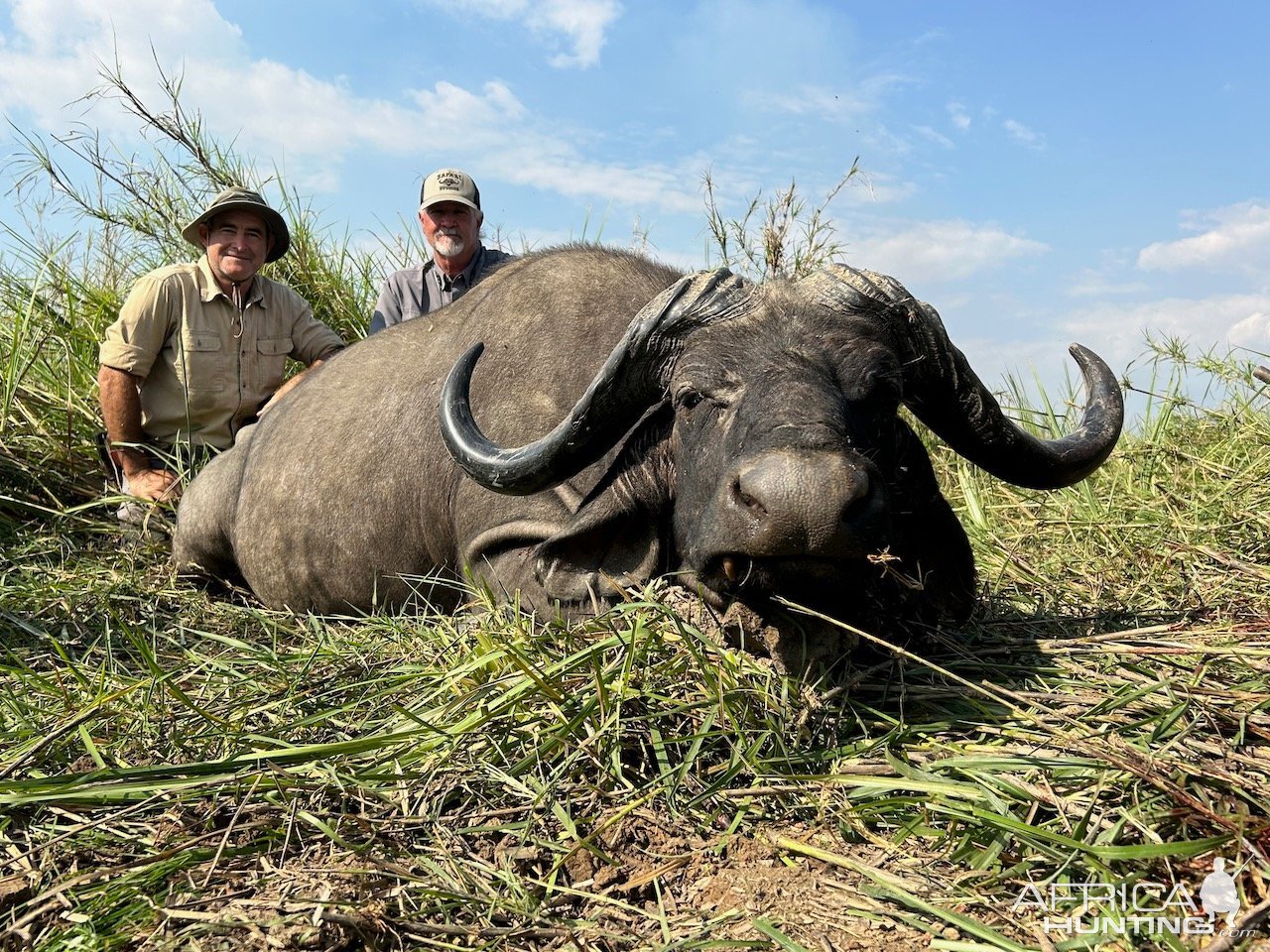 Buffalo Hunting