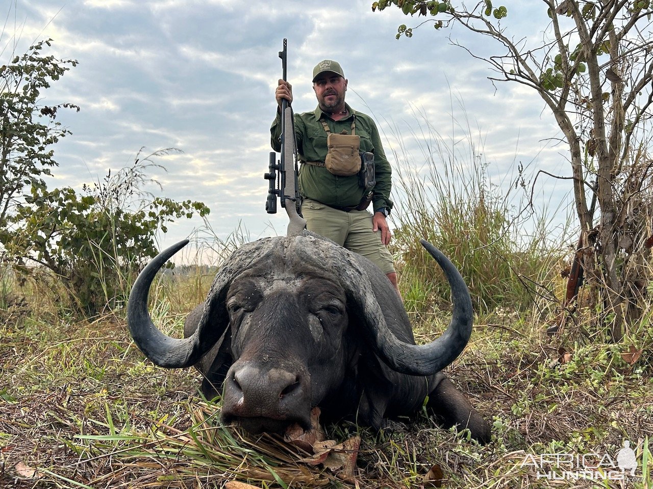 Buffalo Hunting