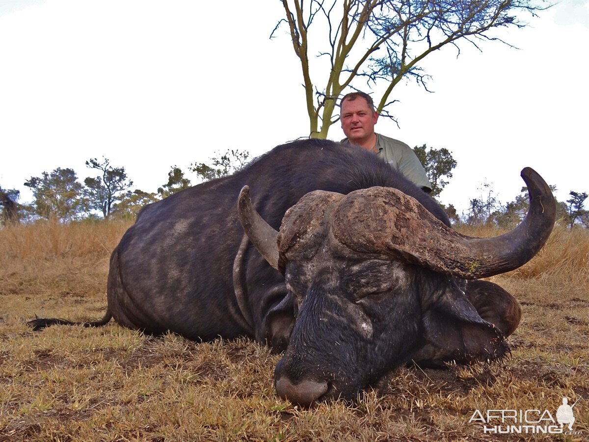 Buffalo Hunting