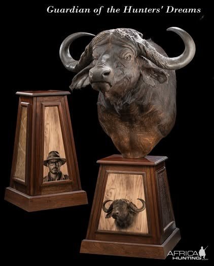 Buffalo Pedestal Mounts Taxidermy