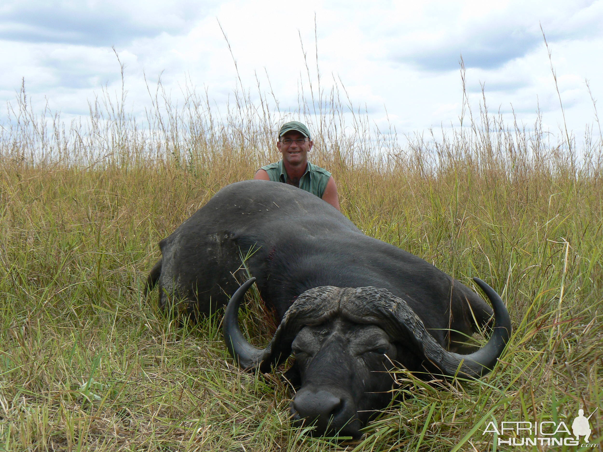 Buffalo