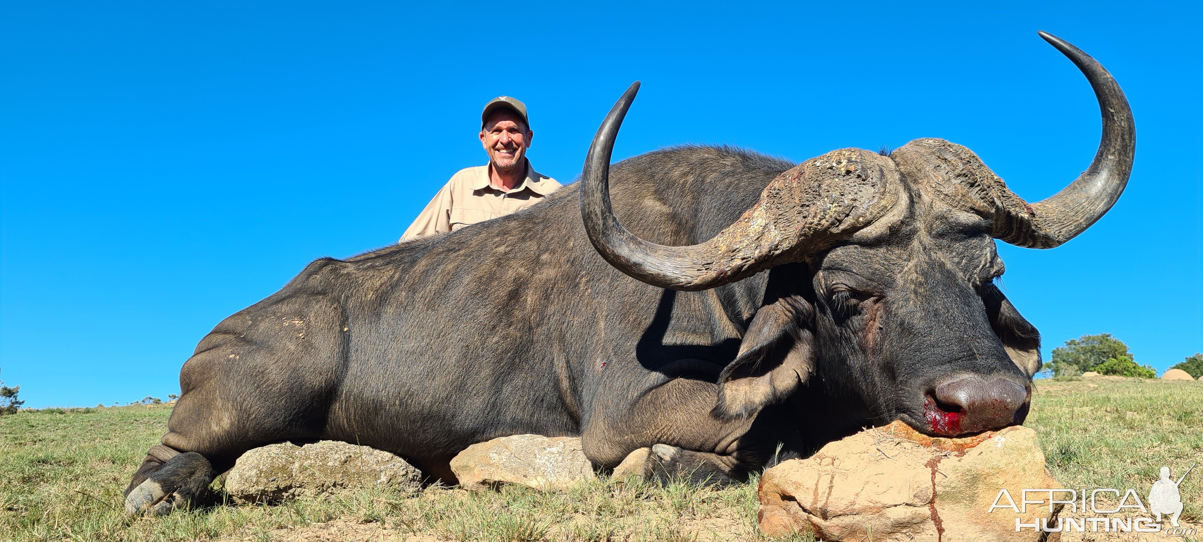 Bufflo Hunt Eastern Cape South Africa