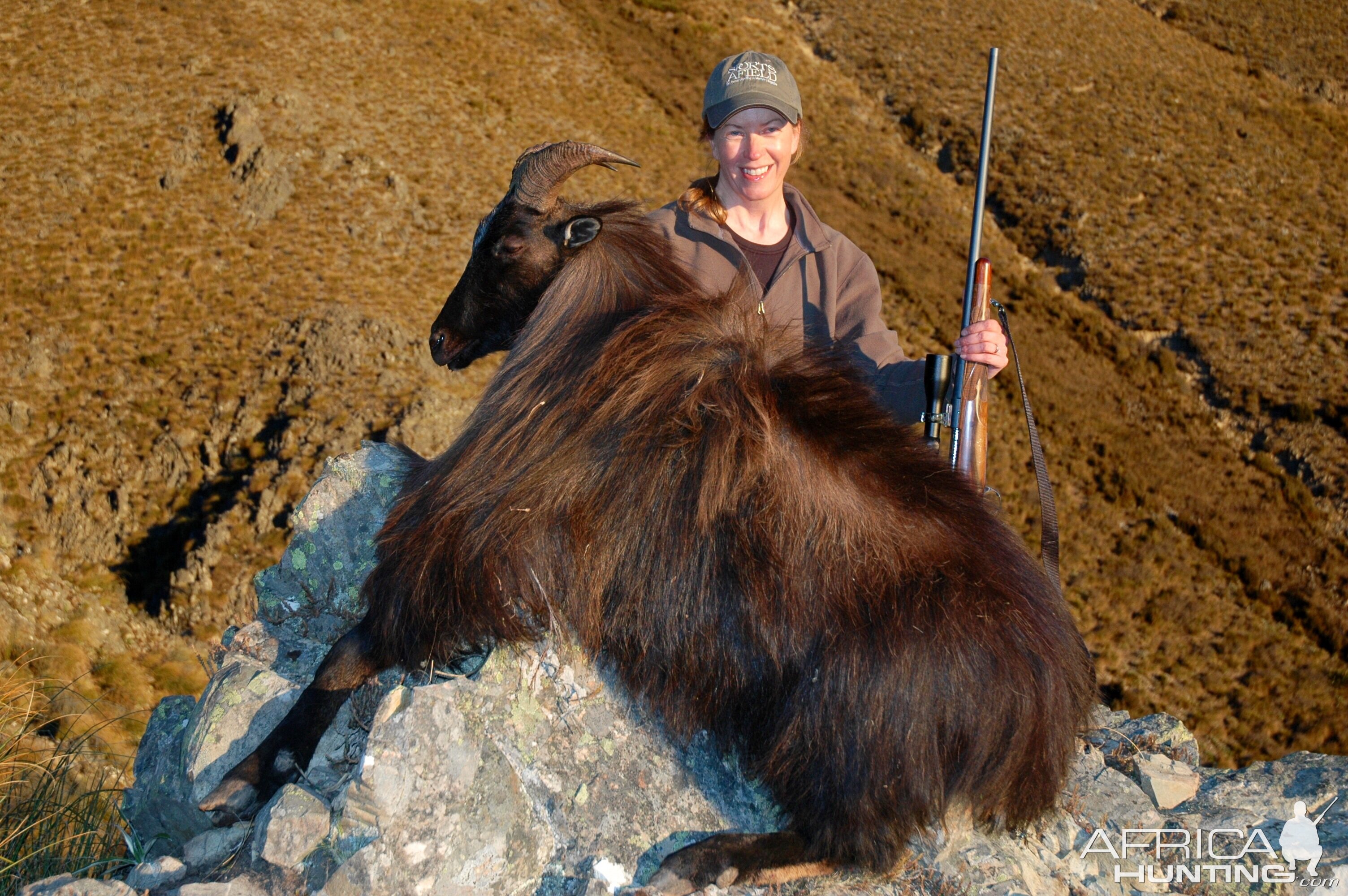 Bull Tahr