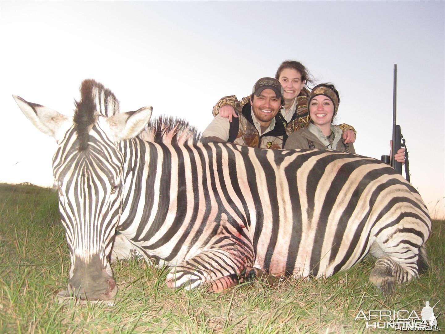 Burchell Zebra hunted with Andrew Harvey Safaris