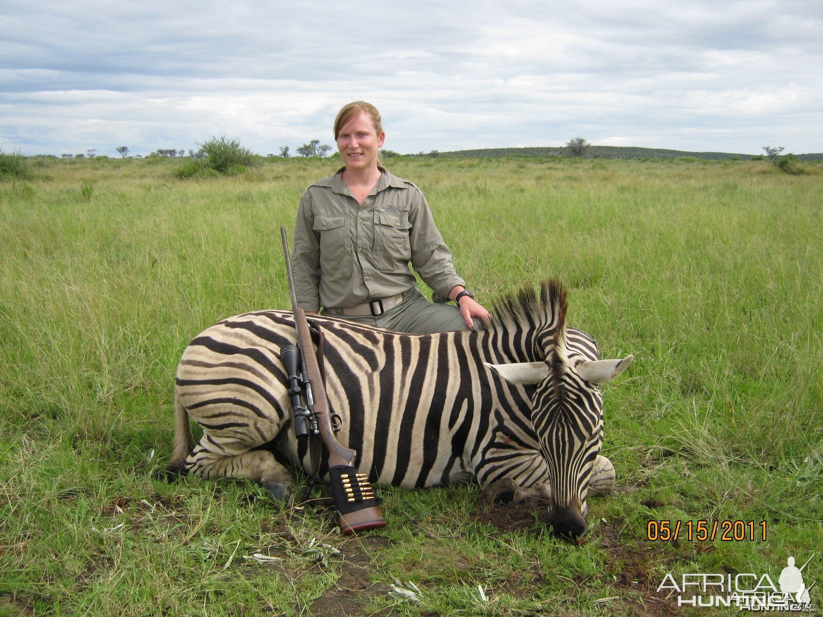 Burchell  Zebra with Kowas Hunting Safaris