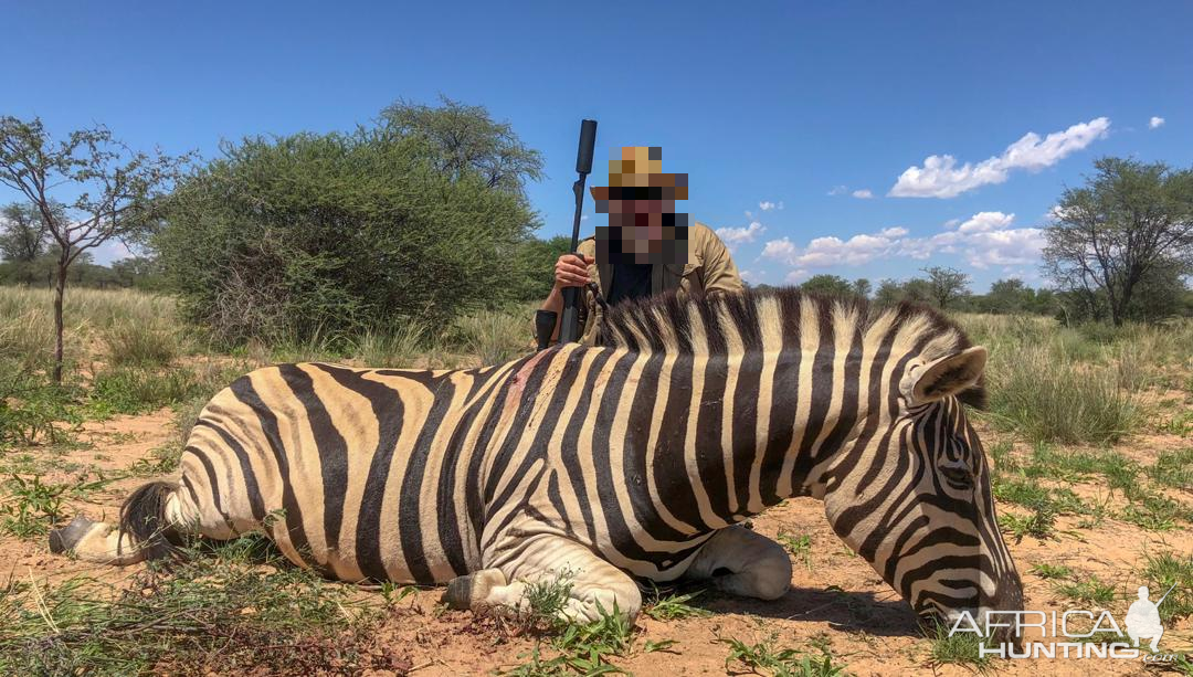 Burchell's Plain Zebra Hunt Namibia