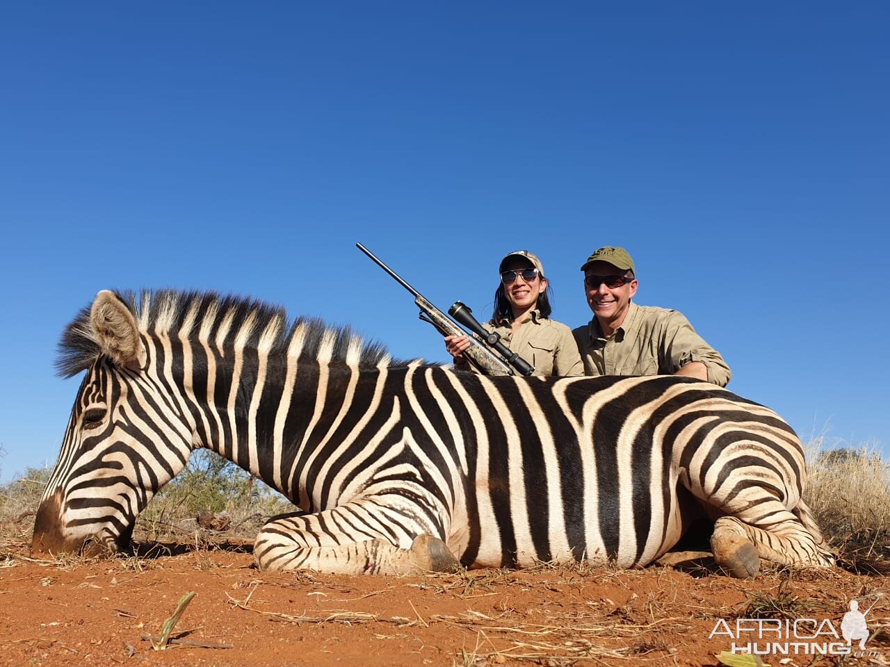 Burchell's Plain Zebra Hunt South Africa