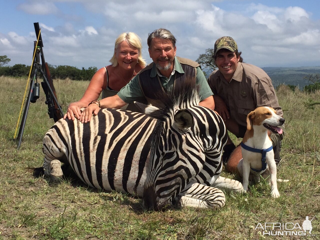 Burchell's Plain Zebra Hunt South Africa